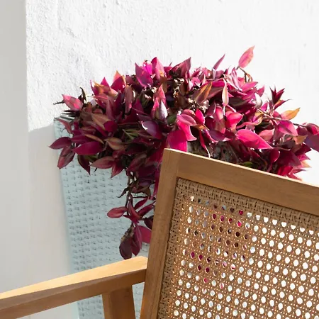 - Casa Trufa Hébergement de vacances Conil De La Frontera