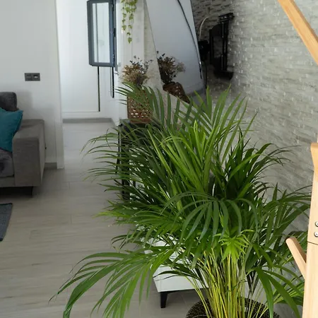 - Casa Trufa