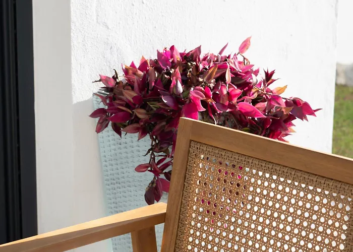 - Casa Trufa 別荘 コニル・デ・ラ・フロンテラ