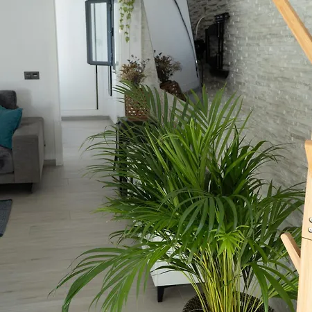 - Casa Trufa